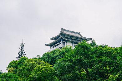 类肉鸽战术桌面游戏《壁垒圣卫》4月14日登陆NS